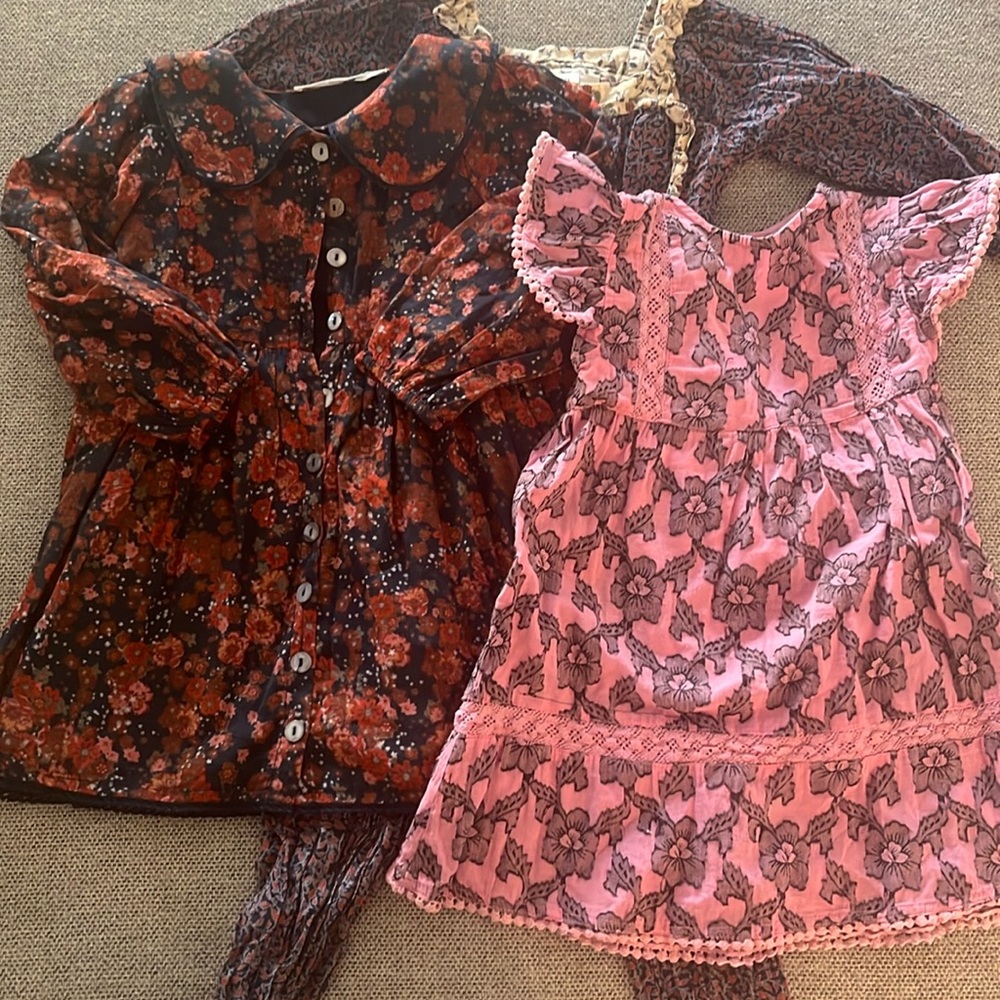 Roller Rabbit Pink Floral Flutter Sleeve Dress and Dark Floral Button-Up Top